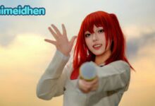 Animeidhen