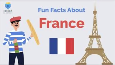 French Info